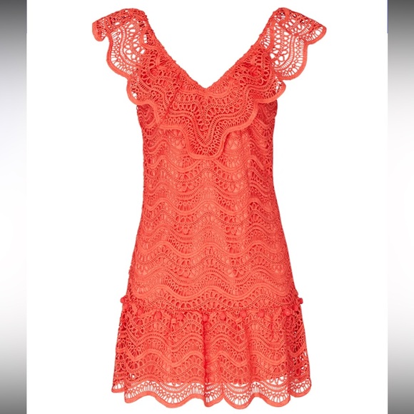 SAYLOR fern dress - Picture 4 of 4